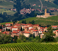 Beaujolais vineyards
